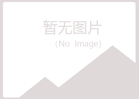 五大连池千城金属有限公司